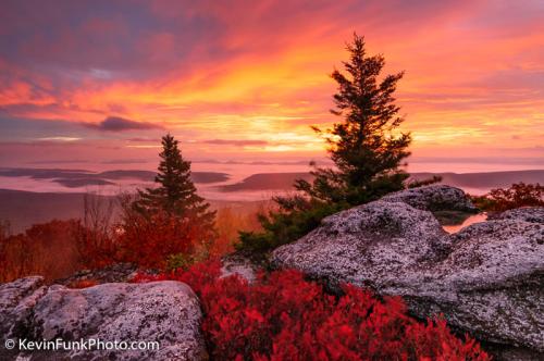 Bear Rocks Dolly Sods Wilderness - West Virginia