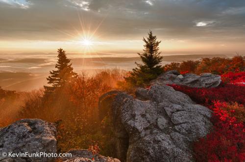 Bear Rocks Dolly Sods Wilderness West Virginia